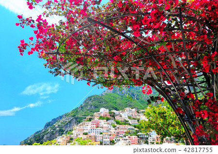 Bougainvillea and the streets of Positano 42817755
