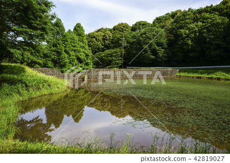 Tachida mountain forest forest Tachida mountain forest forest 42819027