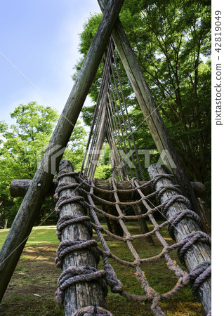 Tachida mountain forest forest Tachida mountain forest forest 42819049