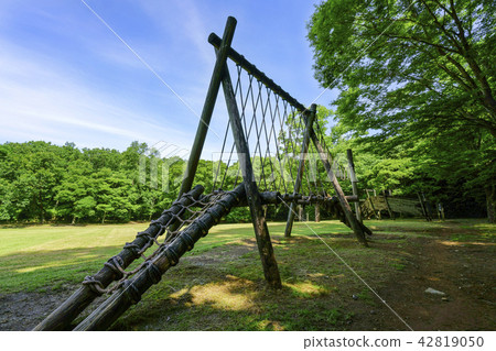 Tachida mountain forest forest Tachida mountain forest forest 42819050