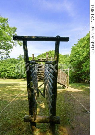 Tachida mountain forest forest 42819051