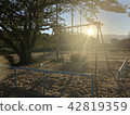 Sunset swings 42819359