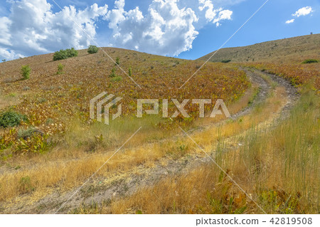 Curved trail going uphill in Utah 42819508