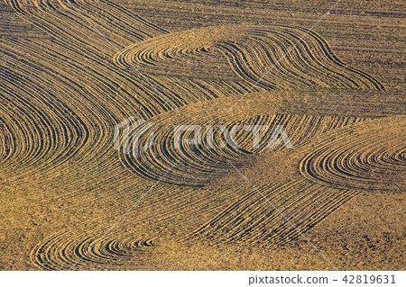 Freshly tilled farmland at sunset on a small hill Freshly tilled farmland at sunset on a small hill 42819631