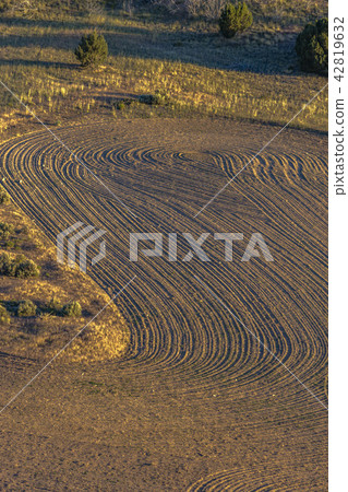 Freshly tilled farmland on a hill Freshly tilled farmland on a hill 42819632