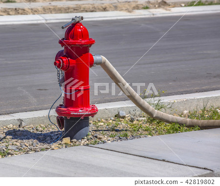 Hose connected to red fire hydrant Hose connected to red fire hydrant 42819802