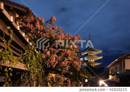 夏天的北海道寺 42820215