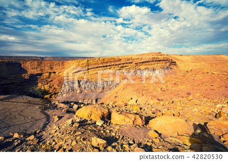 Makhtesh Ramon Crater in Negev desert, Israel 42820530