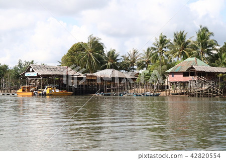 Mangrove Tour Mangrove Tour 42820554