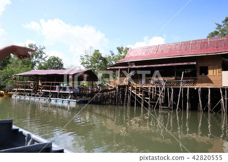 Mangrove Tour Mangrove Tour 42820555