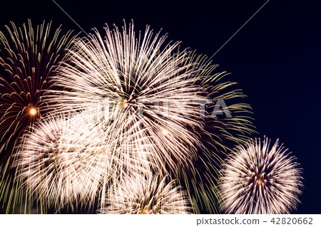 煙花 42820662