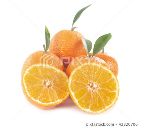 oranges in studio oranges in studio 42820706