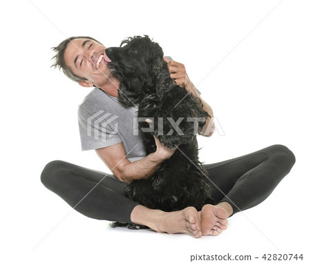 man and american cocker 42820744