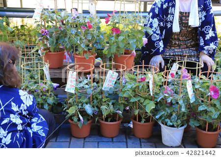 Tokyo Iriya Asaka Festival July 42821442