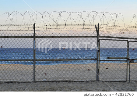 wire entanglement 42821760