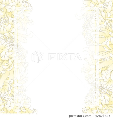 White Chrysanthemum Flower Banner Card Border White Chrysanthemum Flower Banner Card Border 42821823