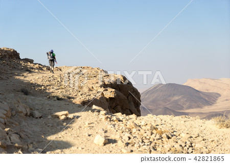 Hiking tourist in desert trek adventure Hiking tourist in desert trek adventure 42821865