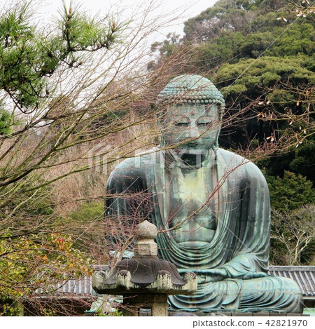 Kamakura Big Buddha 42821970
