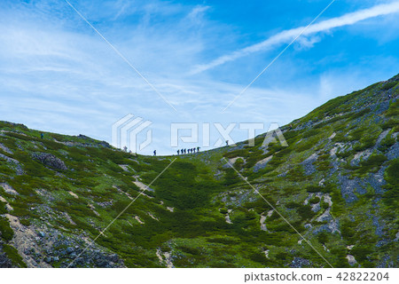 Walking along the ridgeline of the Southern Alps 42822204