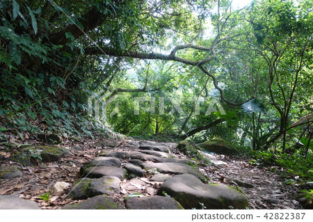 陽明山 涓絲瀑布步道(02) 42822387