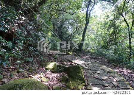 陽明山 涓絲瀑布步道(04) 42822391