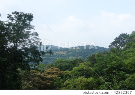 陽明山 涓絲瀑布 山景 42822397