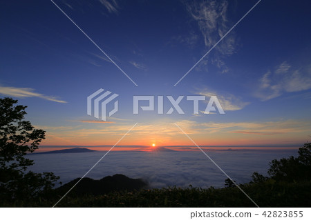 Sunrise and sea of clouds in Hokkaido Tsubetsu Pass 42823855