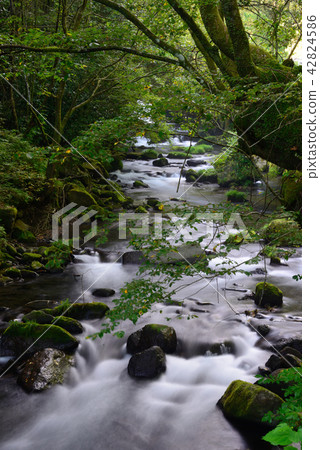 Clear stream Clear stream 42824586