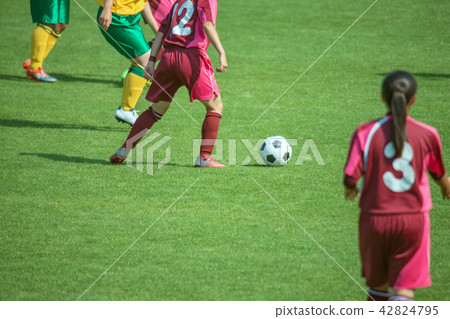 Women's soccer game landscape 42824795