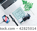 Business vacation Flat lay 42825014