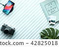 Business vacation Flat lay 42825018