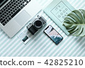 Business vacation Flat lay 42825210