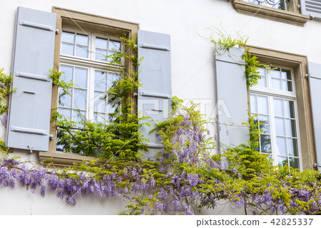 Old house facade with windows and flowers 42825337