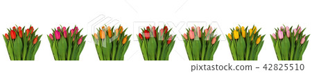 Collage of many bouquets of multi-colored tulips Collage of many bouquets of multi-colored tulips 42825510