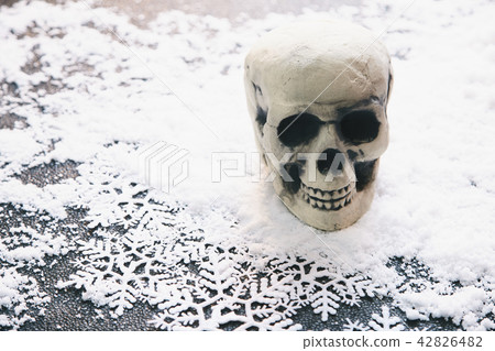 Skull snow Skull snow 42826482