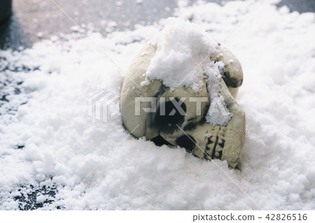 Skull snow Skull snow 42826516