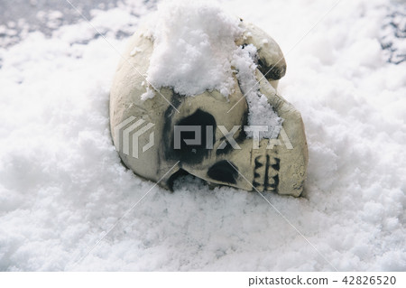 Skull snow Skull snow 42826520
