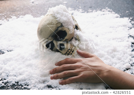 頭骨雪 42826551