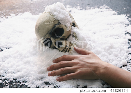 頭骨雪 42826554