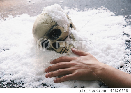 Skull snow 42826558