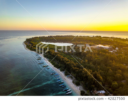 無人駕駛飛機 42827500