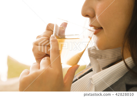 放鬆預防茶飲料生活習慣疾病保健自我管理生活方式 放鬆預防茶飲料生活習慣疾病保健自我管理生活方式 42828010