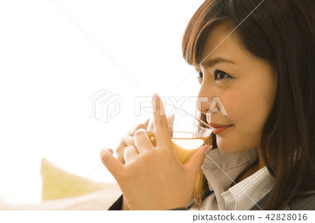 放鬆預防茶飲料生活習慣疾病保健自我管理生活方式 放鬆預防茶飲料生活習慣疾病保健自我管理生活方式 42828016