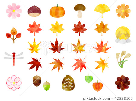 Autumn Icon Set Watercolor Autumn Icon Set Watercolor 42828103