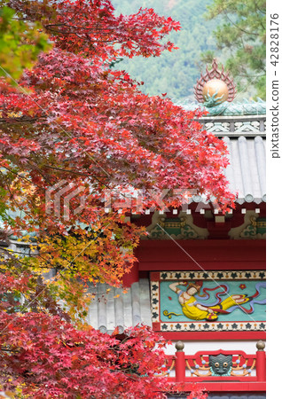 秋Torii Torii 秋Torii Torii 42828176