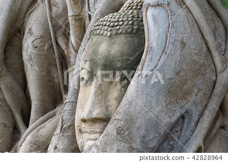 Thailand · Ayutaya · World Heritage · Buddha · Wat · Mahathat Thailand · Ayutaya · World Heritage · Buddha · Wat · Mahathat 42828964