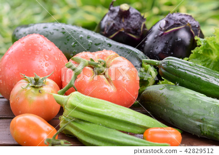 夏季蔬菜 42829512