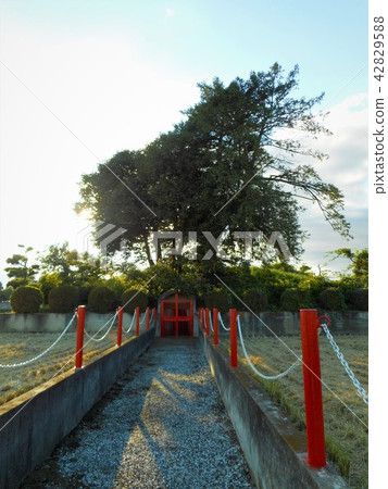 洞藥劑師的墳墓 42829588