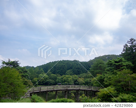 [伊豆]木橋，日式花園[修善寺彩虹村] 42829860