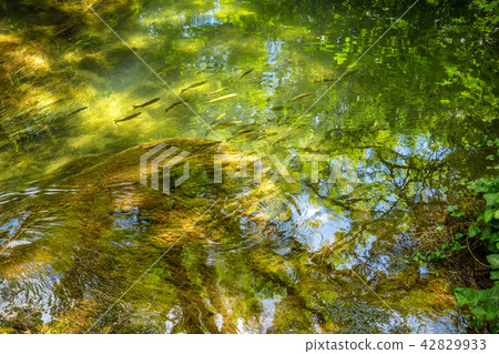 Beautiful lake in the forest with clean water. 42829933